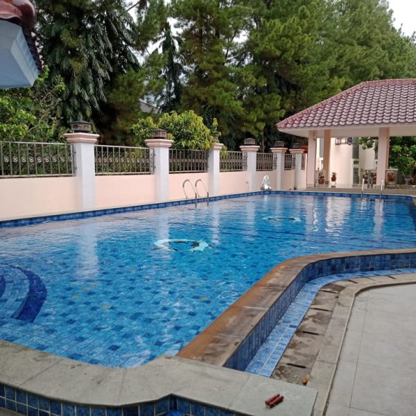 WhatsApp Image 2025-06-20 at 02.50.59